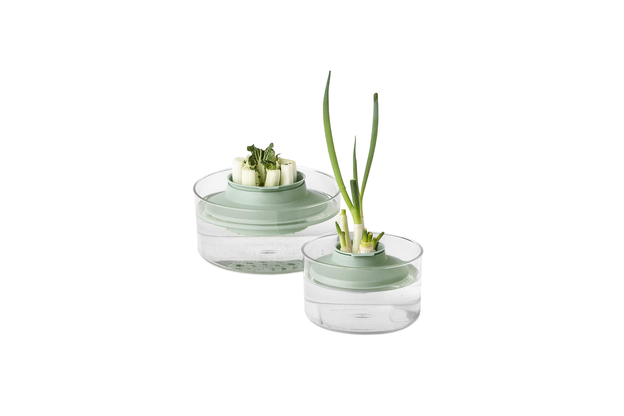 brabantia-tasty-nachzucht-kit-kr-uter-gem-se-2-schalen image 3