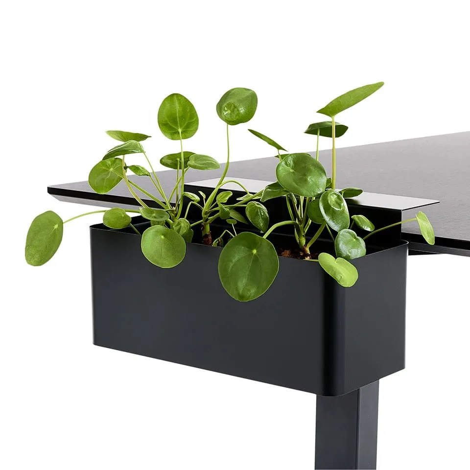 lento-schreibtisch-zubeh-r-blumenbox-tischbox-mit-klemmen-10-kg image 1