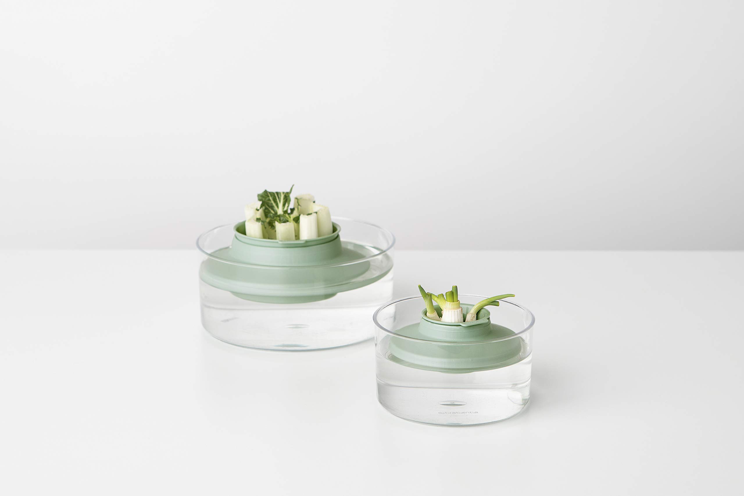 brabantia-tasty-nachzucht-kit-kr-uter-gem-se-2-schalen image 5