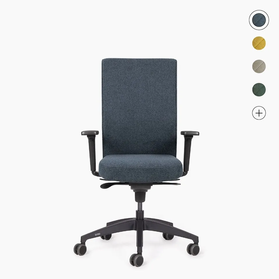 lento-agilis-genesis-ergonomischer-b-rostuhl-mit-lordosenst-tze image 1