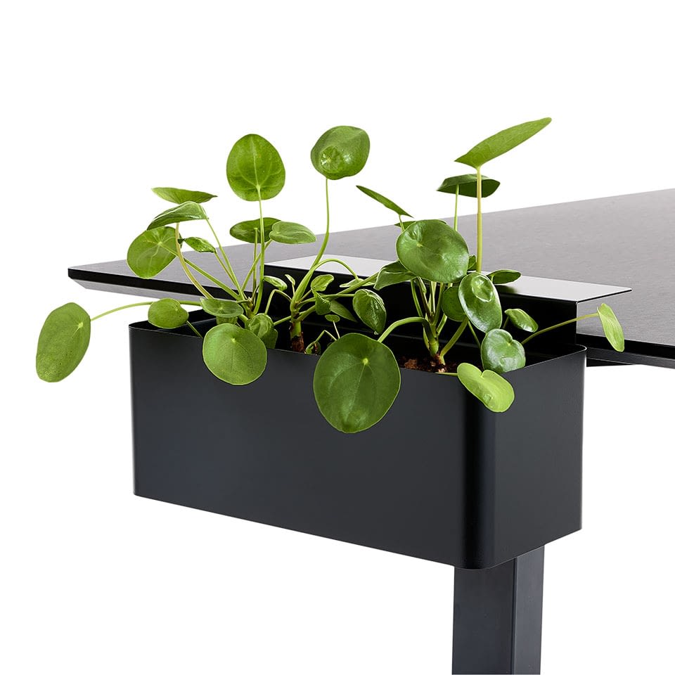 lento-schreibtisch-zubeh-r-blumenbox-tischbox-mit-klemmen-10-kg image 1