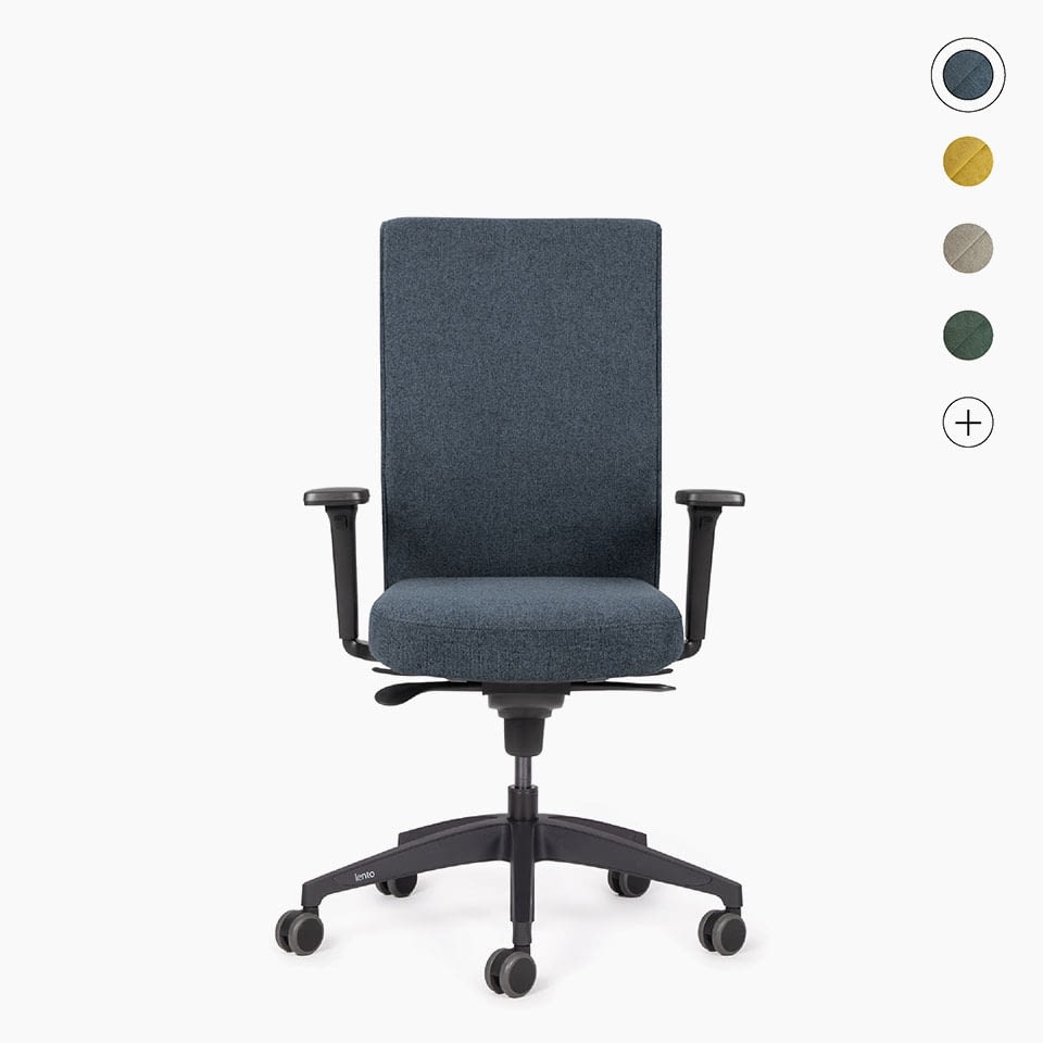lento-agilis-genesis-ergonomischer-b-rostuhl-mit-lordosenst-tze image 1