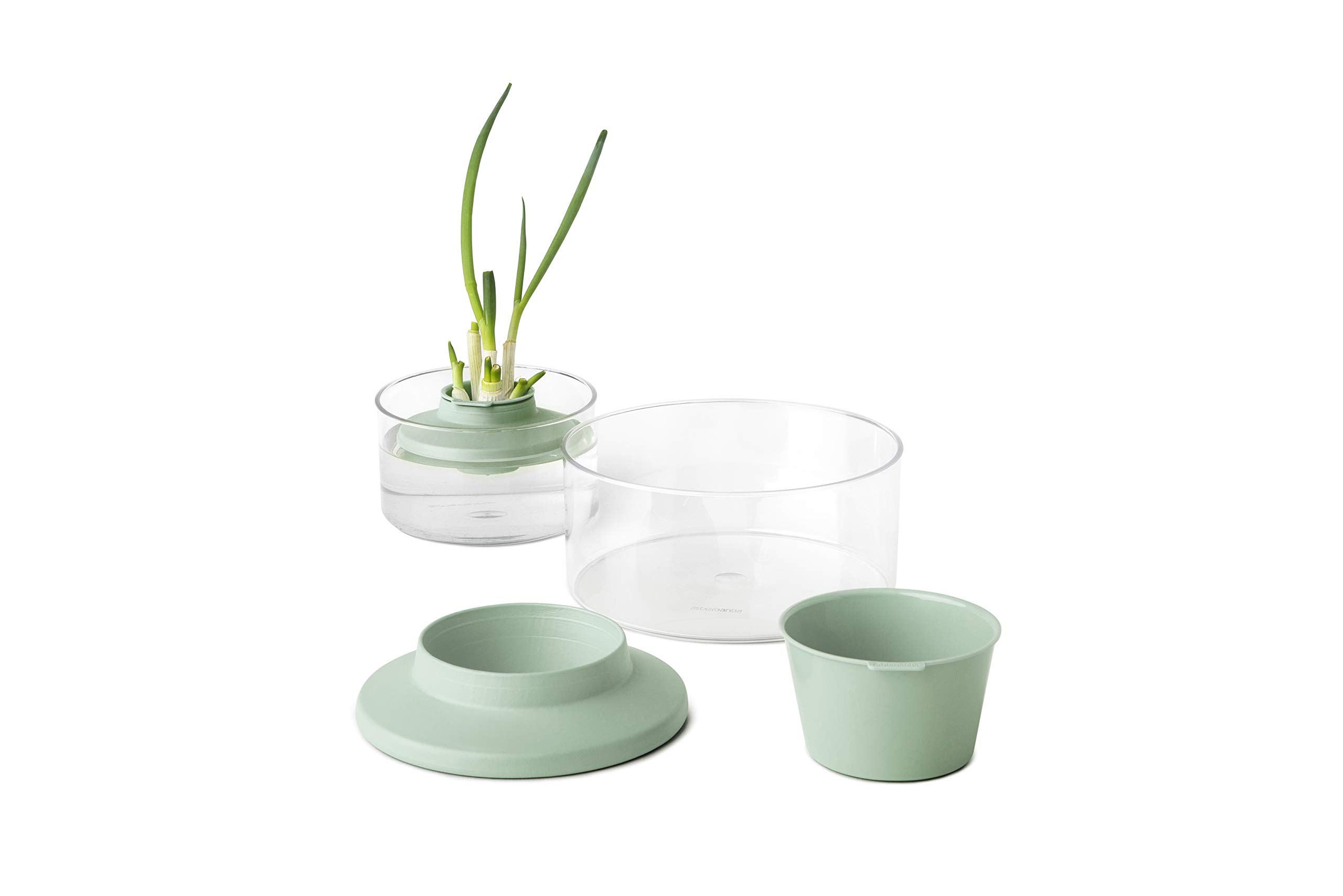brabantia-tasty-nachzucht-kit-kr-uter-gem-se-2-schalen image 1
