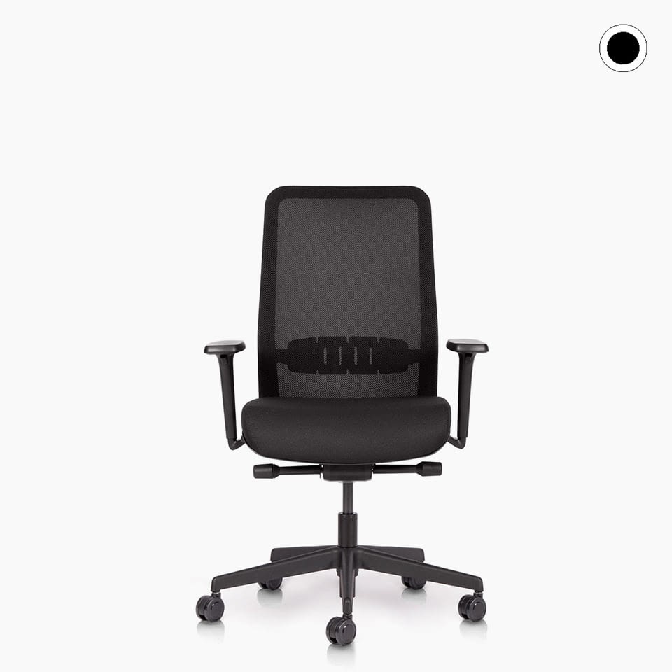 lento-proto-b-rostuhl-netzr-cken-ergonomisch-schwarz image 1