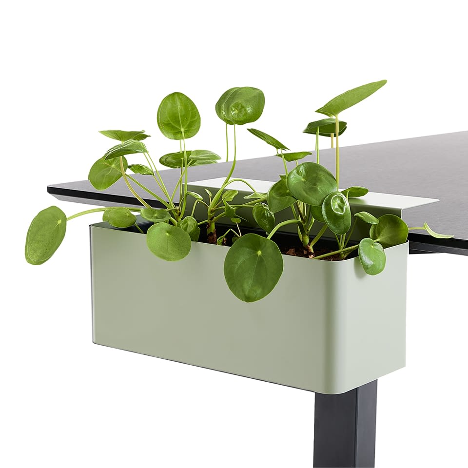 lento-schreibtisch-zubeh-r-blumenbox-tischbox-mit-klemmen-10-kg image 2
