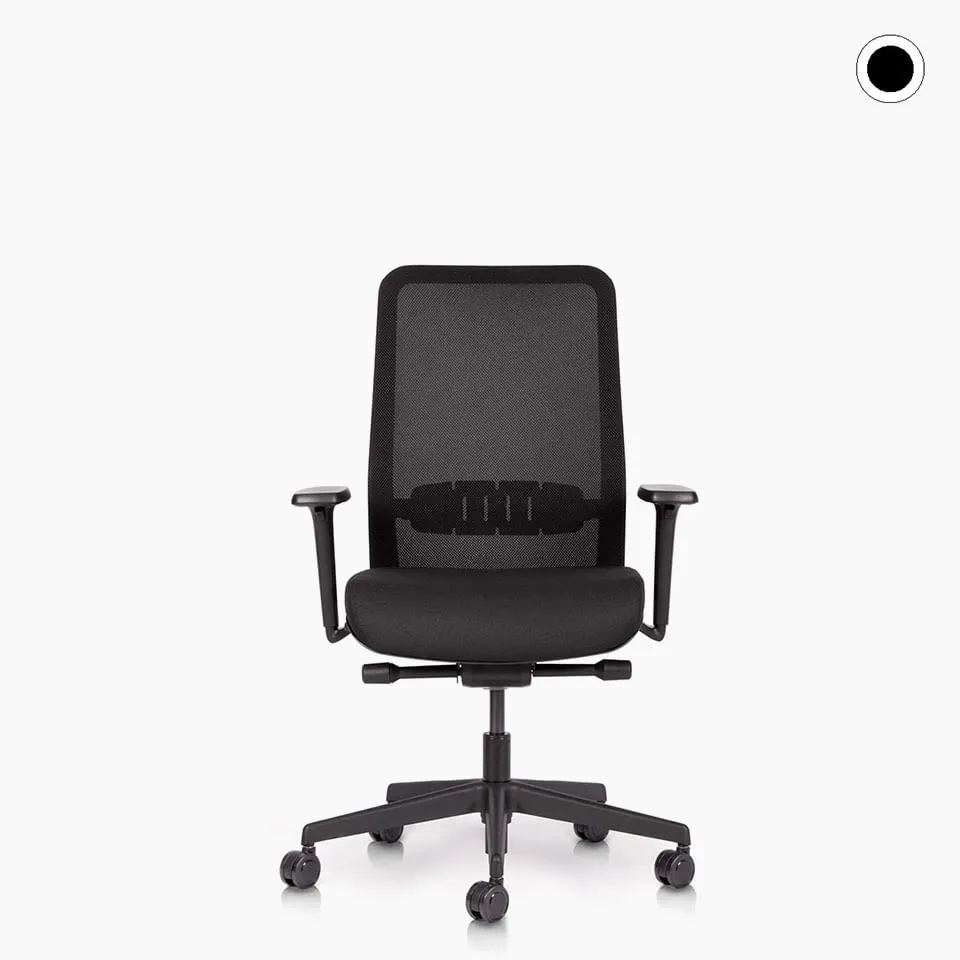 lento-proto-b-rostuhl-netzr-cken-ergonomisch-schwarz image 1