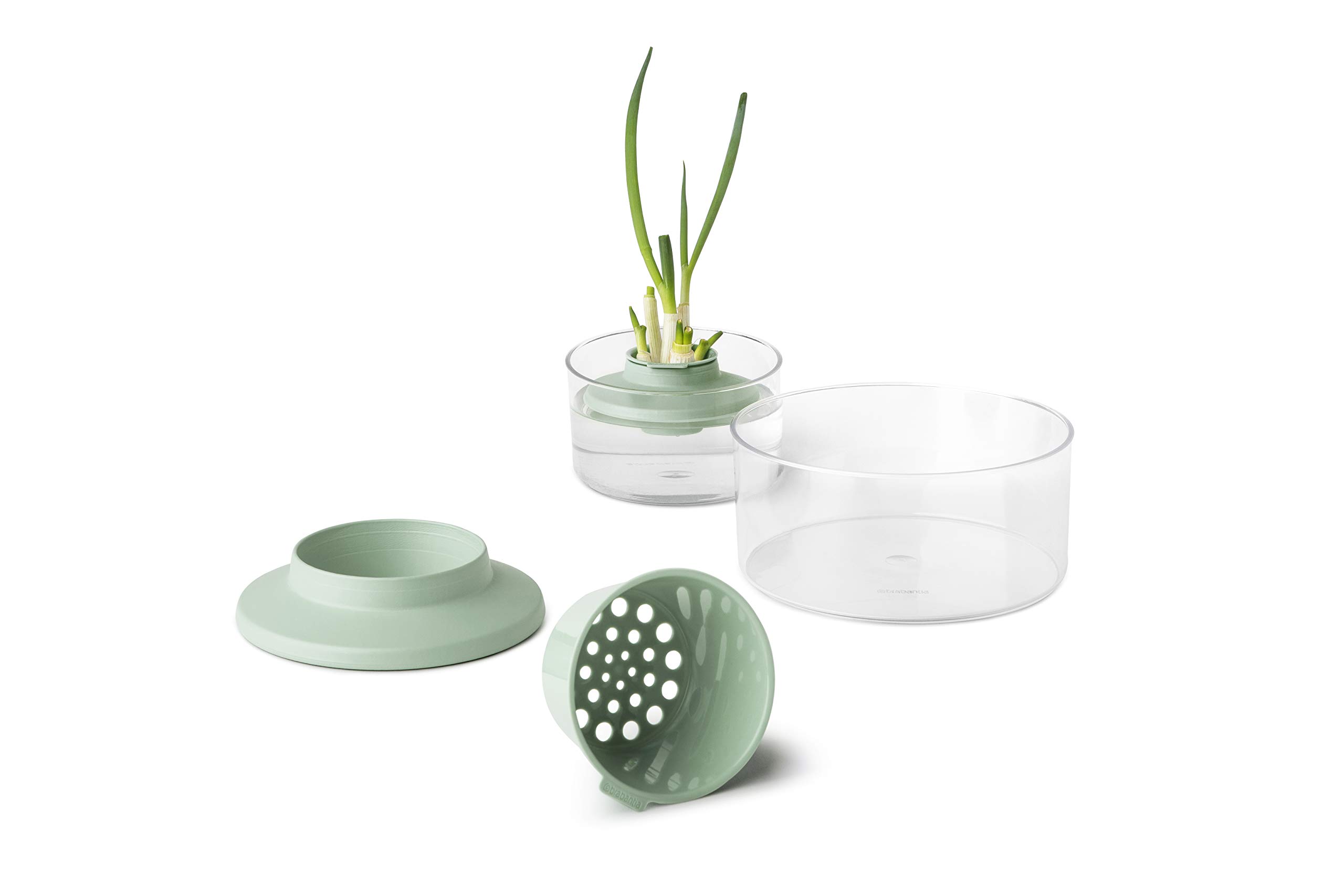 brabantia-tasty-nachzucht-kit-kr-uter-gem-se-2-schalen image 4